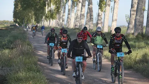Imatge de les edicions anteriors de la Catigat del Pla d'Urgell
