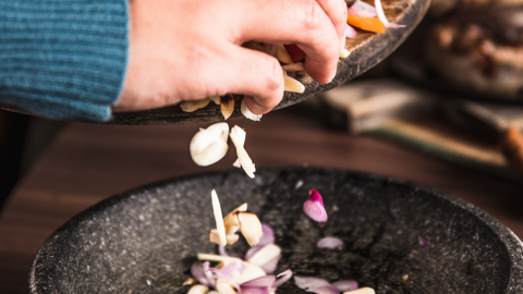 Gastronomia 8M noguera