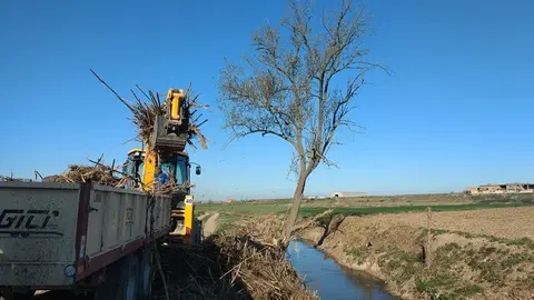 Treballs en la  sèquia del Canal en el terme de Linyola