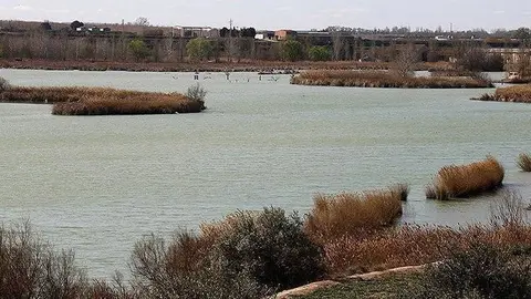 Pla general on es pot veure l'estany d'Ivars i Vila-sana i part de la seva làmina d'aigua,