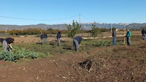 Imatge d'edicions anteriors del projecte Cultiva't Horts Comunitaris