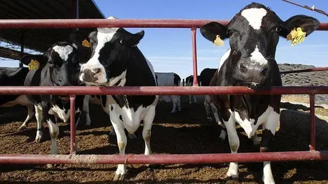 Granges Diferència A2 a la demarcació de Lleida