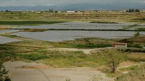 Inici de la recuperació de l'Estany d'Ivars i Vila-sana