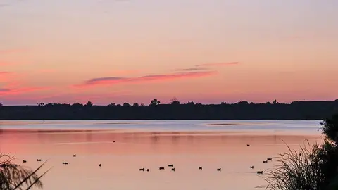DSCF2043