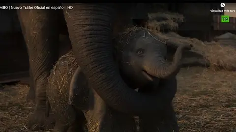 Dumbo, es projecta als cinemes del Circuit Urgellenc de la demarcació de Lleida