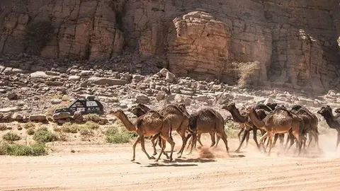 Un tram de la prova Panda Raid del Marroc