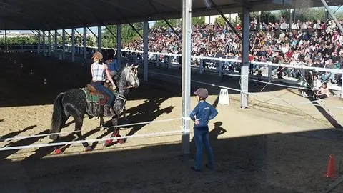 La carpa de les exhibicions a la Fira EquiMollerussa 2019