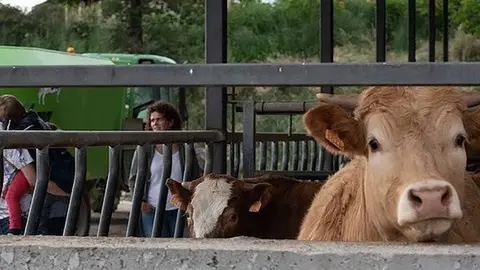 Activitats del cap de setmana Benvinguts a Pagès
