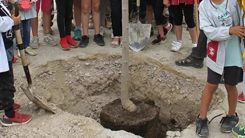 Alguns dels infants que han participat avui a la plantada d'arbres a TÓrrega-1