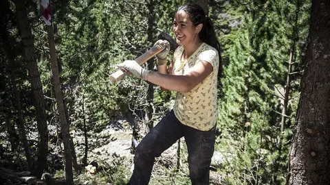 Activitats del projecte Boscos de Muntanya