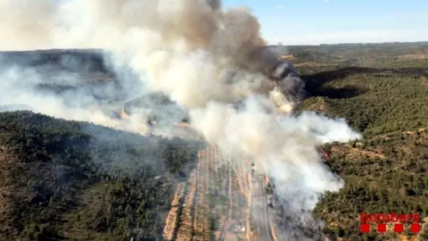 L'incendi de vegetació forestal de Maials