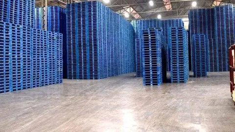 Instal·lacions de l'empresa Chep