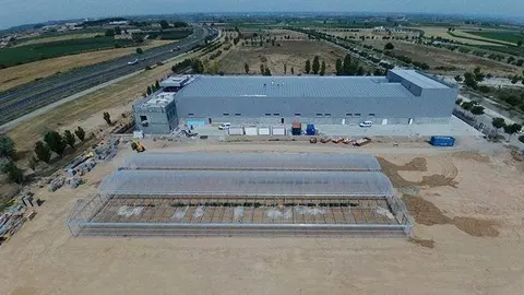 Empreses establertes en el Polígon Vinyes del Mig de Bell-lloc