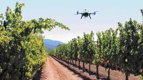 Activitat dels drons en una finca de raïm