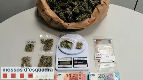 El material decomissat pels Mossos d'Esquadra a Lleida
