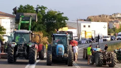 Un grup de tractors durant el tall de la C-12