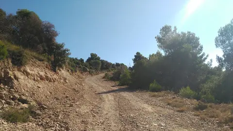 Camins de la Noguera