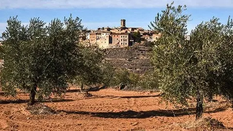 La comarca de les Garrigues disposa d’un gran nombre d’atractius turístics