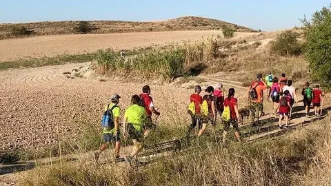 La Marxa de l'Esparver Cendrós de Bellcaire d'Urgell