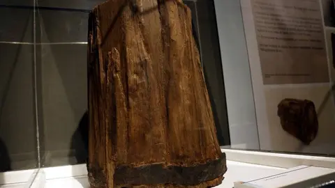 Pla mitjà on es pot veure la galleda de fusta restaurada i exposada al Museu de Guissona, que es va trobar en un pou de l'antiga Iesso, submergida des de fa més de 2.000 anys, l'11 d'octubre de 2019. (Horitzontal)