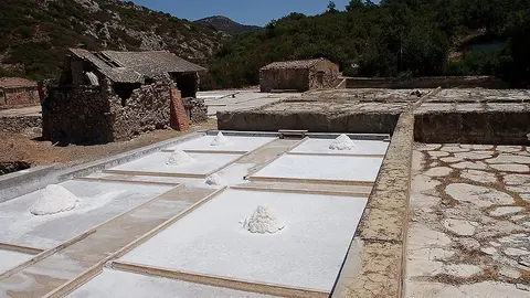 Salines de Vilanova de la Sal