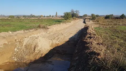 Actuacions en els camins de Castellserà