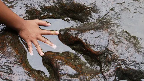 hand and dinosaur footprint .