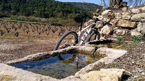 Camins de Pedra, projecte de rutes en bicicleta per les Garrigues
