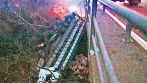 Imatge del vehicle i els porcs, en l'accident a Albesa