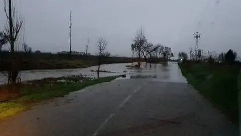 Imatge dels camins en el terme municipal de Linyola