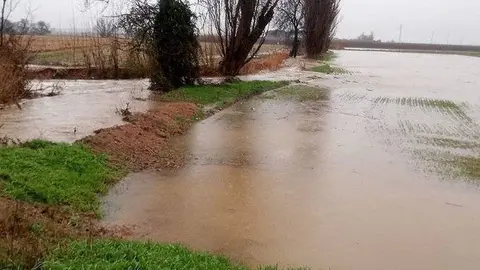 Efectes del desbordament del riu Corb en el terme del Poal