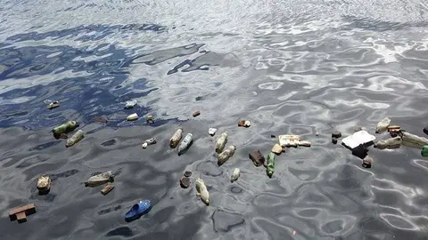 Imatge de les restes en una platja de la mediterrània