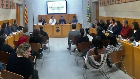 Ple del Consell Comarcal de l'Urgell