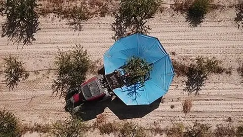Imatge del'obra de Sara Boldú Els Artistes  van en tractor