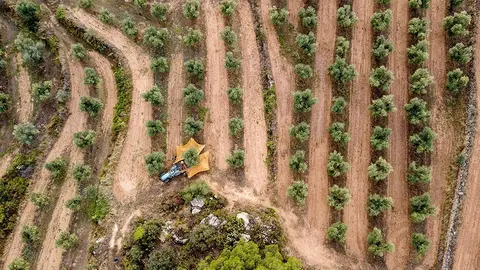 Els artistes van en tractor, de Sara Boldú