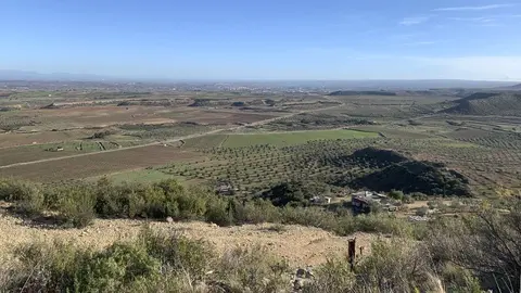 Castelldans2