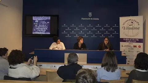 Presentació Viladona a la Diputació de Lleida 1