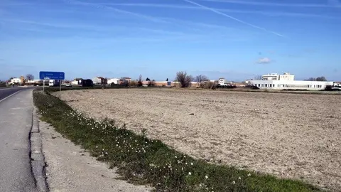 Els terrenys que ocuparan els nous polígons industrials de Mollerussa