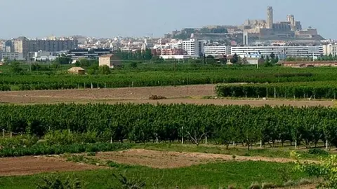 Imatge de l'horta de Lleida