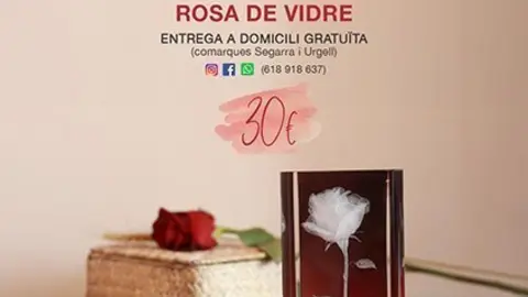 escultura Rosa Blanca de Sant Jordi