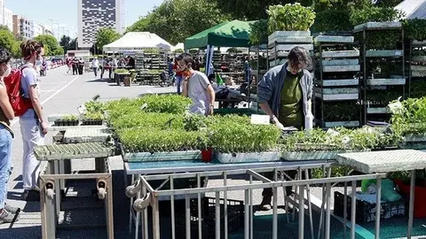 Mercats setmanals a la demarcació de Lleida