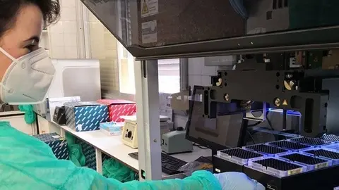 Tècnic de laboratori treballant amb PCRs convencionals