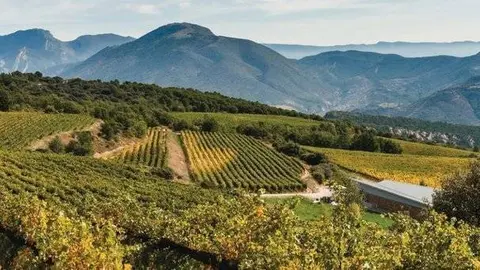 Vins de Costers del Segre