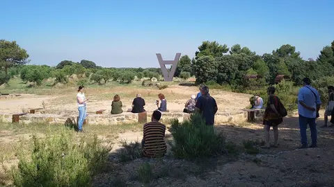 Visita a la  Vinya dels Artistes del celler Mas Blanch i Jové a la Pobla de Cérvoles