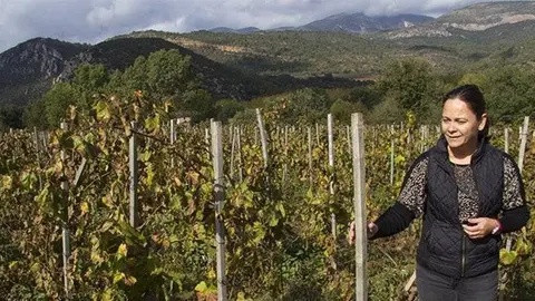 La productora i elaboradora Judit Sogas entre vinyes de xarel·lo, al Montsec ©JosepA.Pérez
