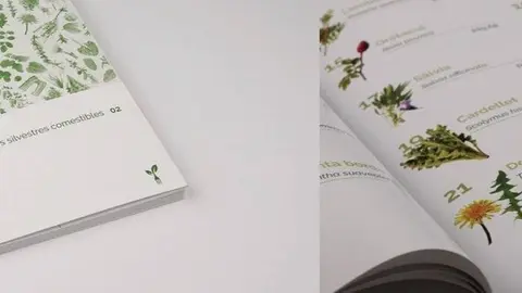 Segon volum del llibre de les plantes silvestres