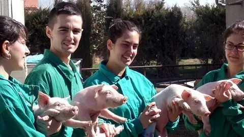 Estudiants de Ciencia i  Salut Animal de la UdL