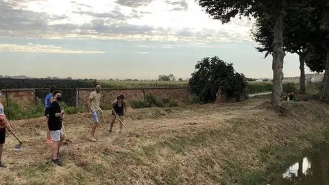 Els participants en el Camp de treball Palau d'Anglesola netegen la banqueta del Canal