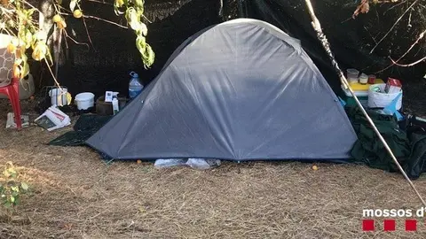 La tenda d'acampada on dos detinguts vigilaven una plantació de marihuana a Aitona