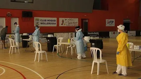 Arxiu del cribratge massiu que es va fer a Mollerussa